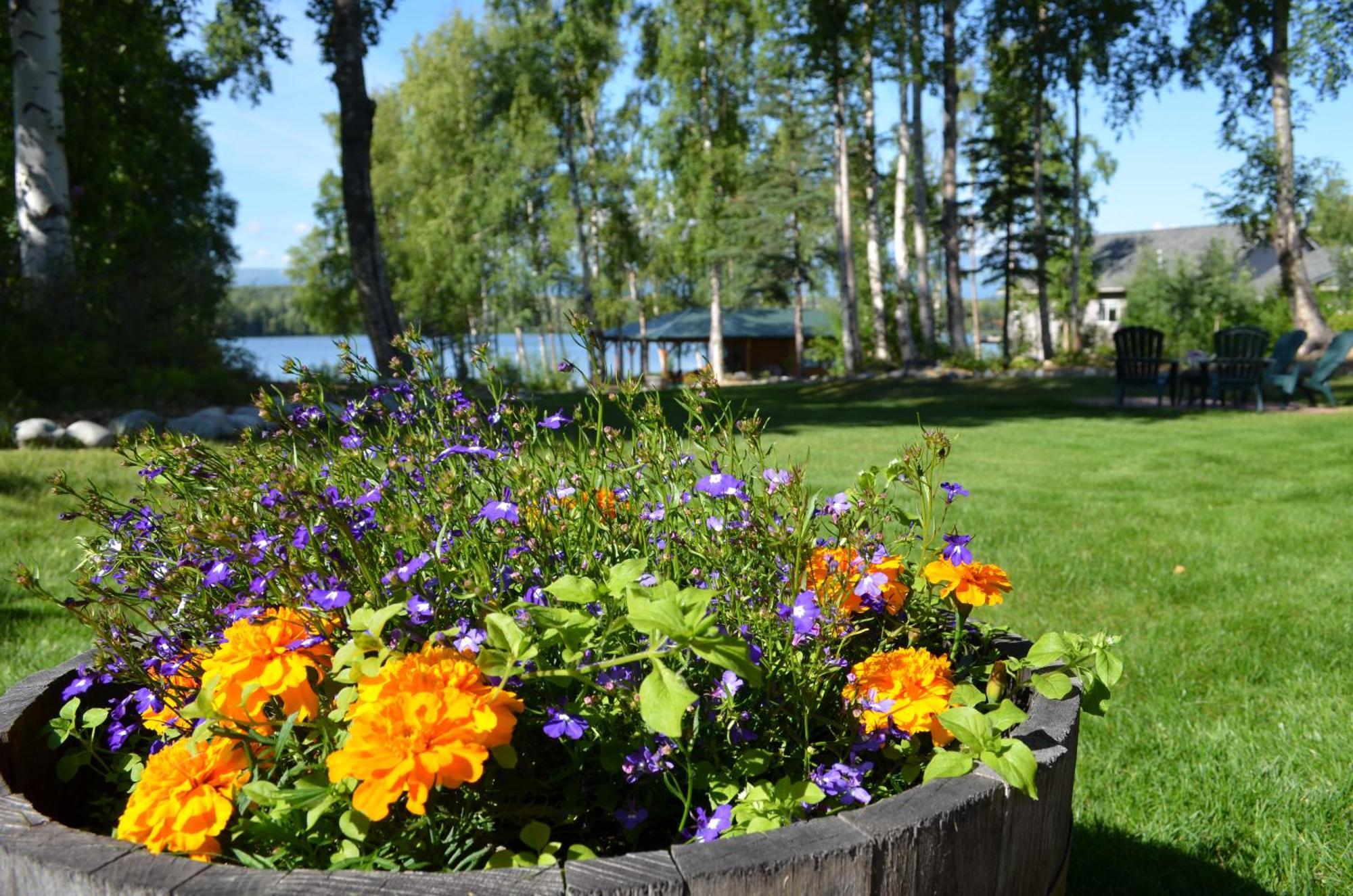 Alaska'S Lake Lucille Bed & Breakfast Wasilla Extérieur photo